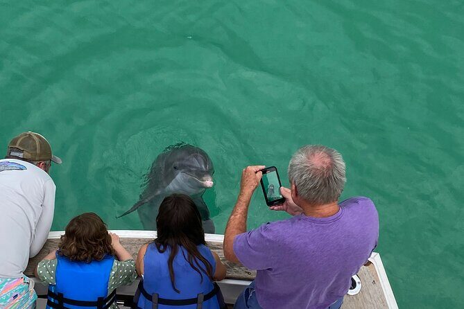 2 Hour Private Dolphin Sightseeing Tour - An In-Depth Look at the Tour