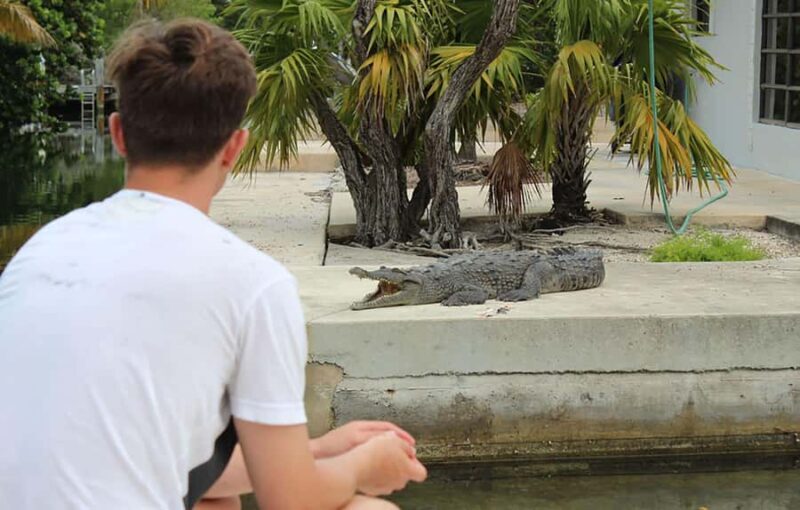 2 Hour Private Eco-Tour - Key Points