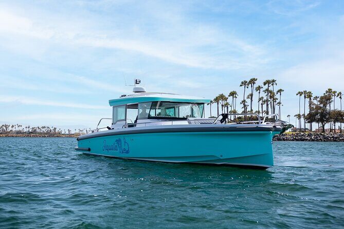 2 Hour Private Luxury Speedboat in Mission Bay - A Close Look at the 2 Hour Private Luxury Speedboat in Mission Bay