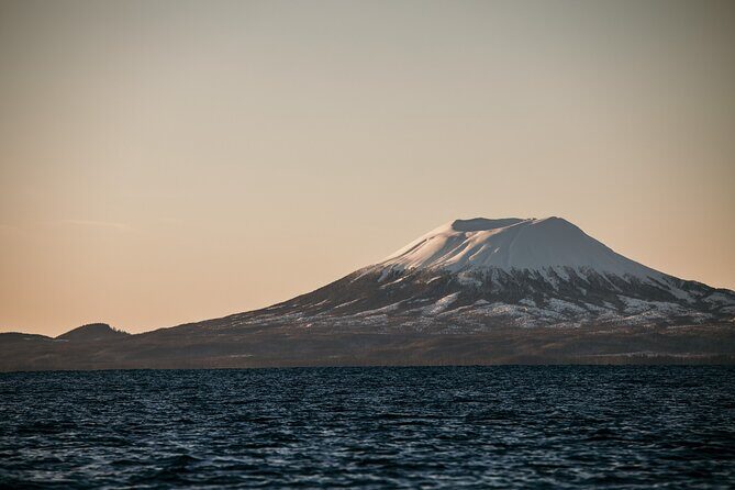 2 Hour Private Marine Wildlife Tour - Why This Tour is Worth Considering