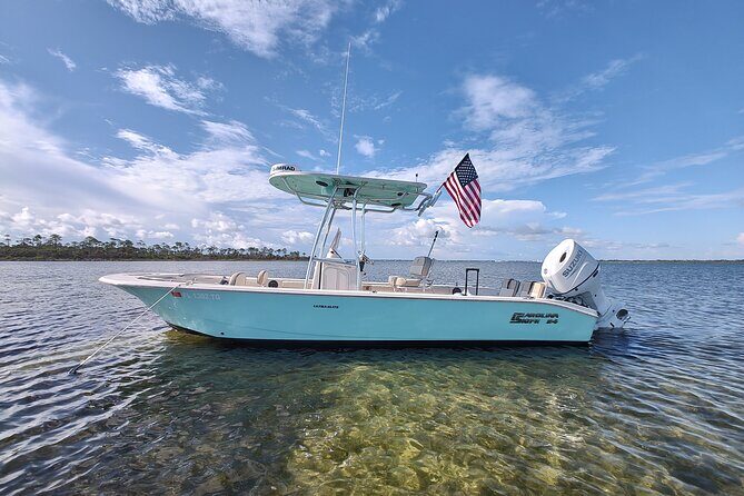 2-Hour Private Sightseeing Dolphin Tour in Panama City Beach - Key Points