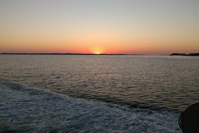 2-Hour Private Sightseeing Dolphin Tour in Panama City Beach - What to Expect from the Tour