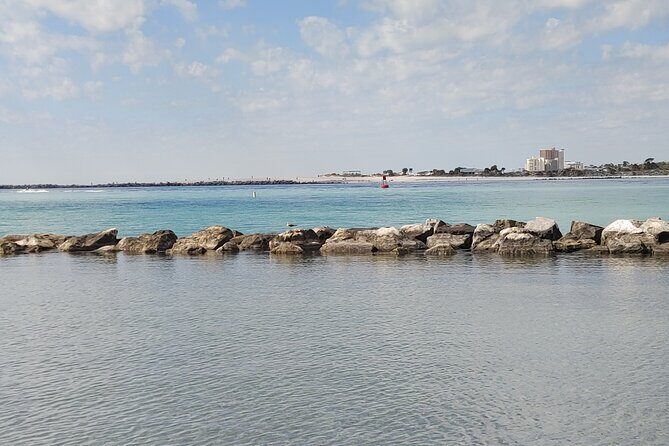 2-Hour Private Sightseeing Dolphin Tour in Panama City Beach - Pricing and Value