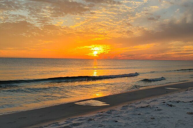 2-Hour Private Sightseeing Dolphin Tour in Panama City Beach - Comfort and Practical Tips