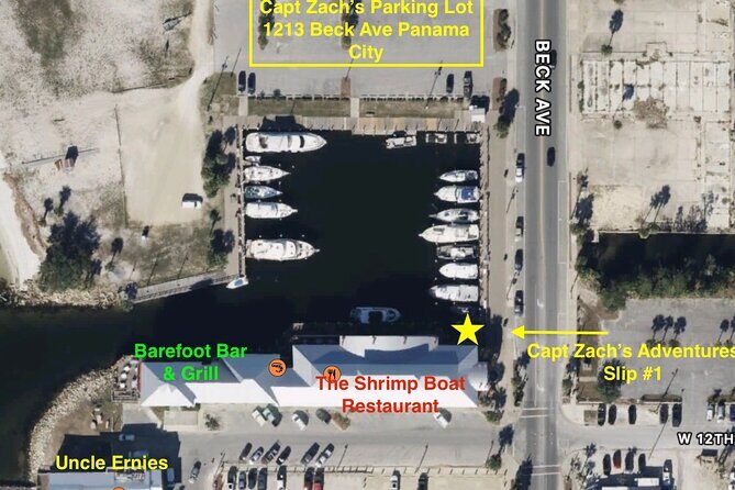 2-Hour Private Sightseeing Dolphin Tour in Panama City Beach - Who Should Consider This Tour?