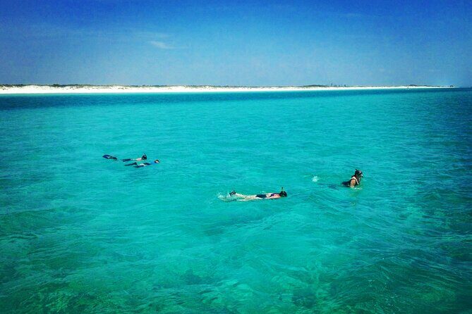 2-Hour Private Sightseeing Dolphin Tour in Panama City Beach - Final Thoughts