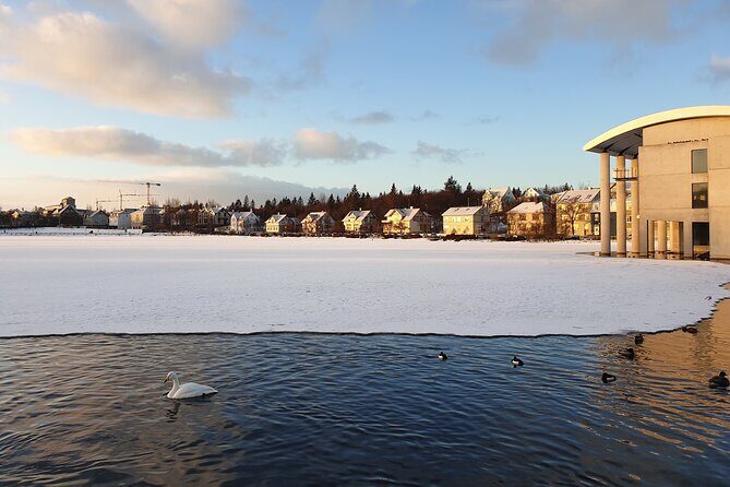 2-Hour Reykjavik Private Walking Tour - What the Reviews Say