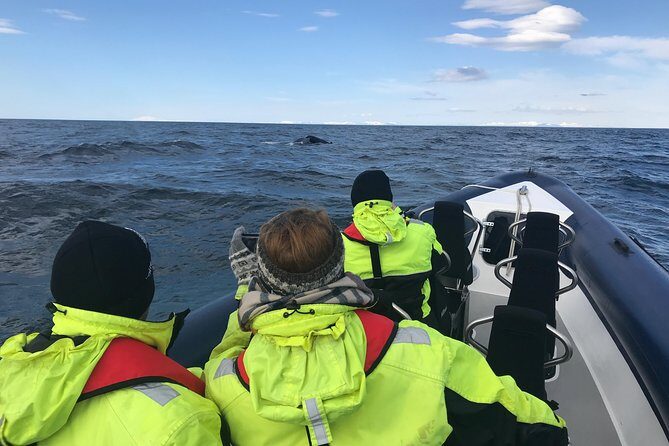 2-Hour RIB Boat Whale Watching Tour from Reykjavik - Final advice