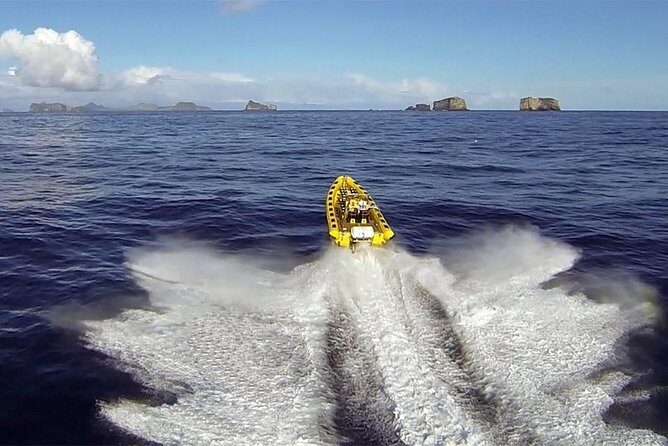 2 hour Round Trip in Vestmannaeyjar on a RIB Boat - An Honest Look at the 2-Hour RIB Tour in Vestmannaeyjar