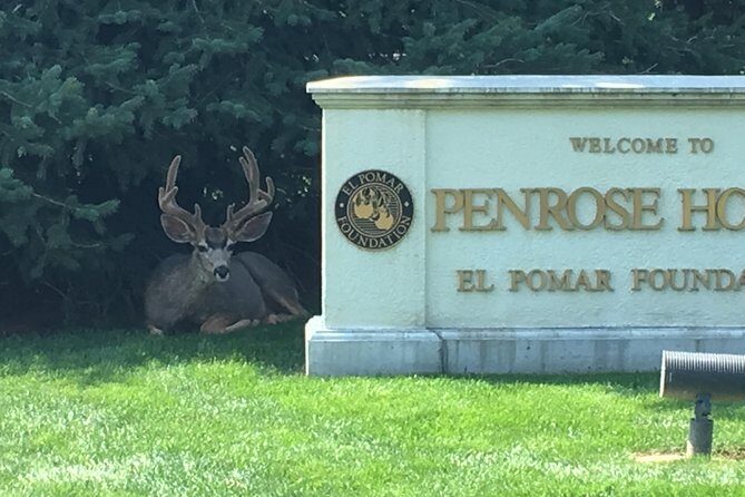 2-Hour Segway Tour in Cheyenne Cañon and Broadmoor Area - FAQ