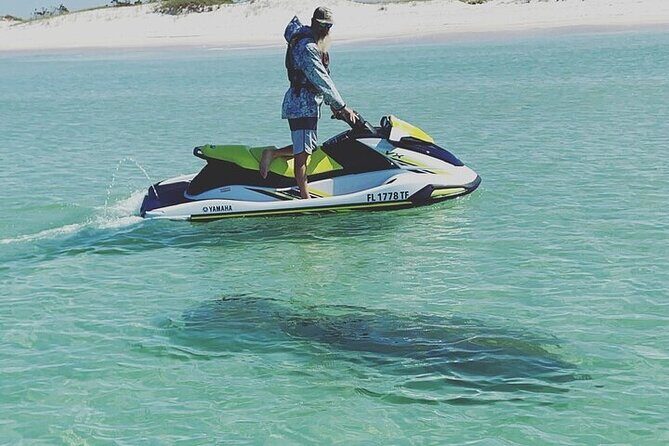 2 Hour Shell Island Jet Ski Dolphin Tour - The Ride and Wildlife Encounters