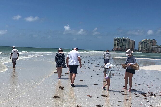 2-hour Shelling Boat Tour in the 10,000 Islands - Key Points