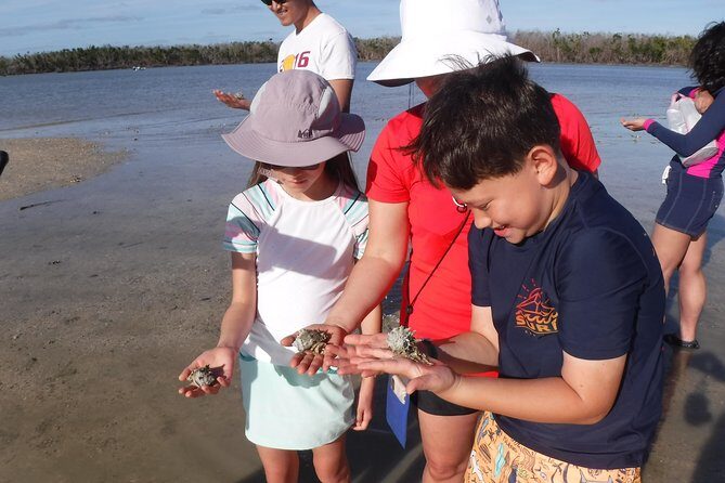 2-hour Shelling Boat Tour in the 10,000 Islands - What Travelers Are Saying (Honest, Unfiltered Feedback)