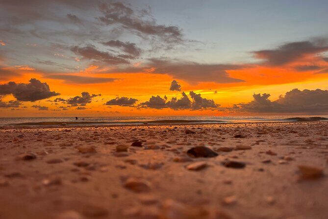 2-hour Shelling Boat Tour in the 10,000 Islands - FAQs