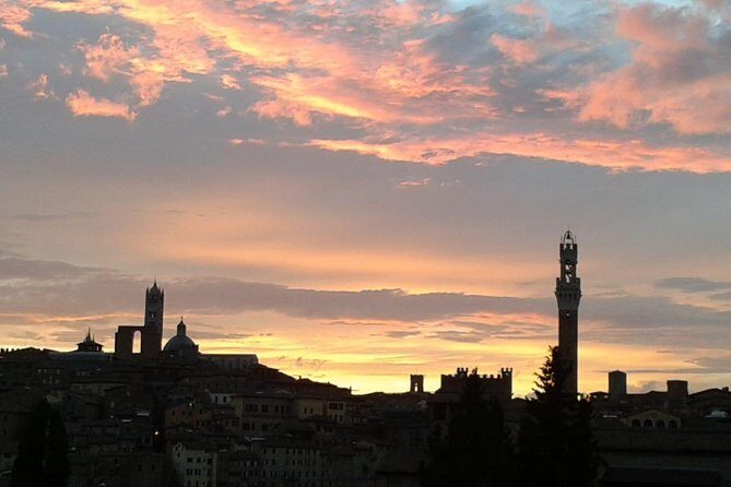 2 hour Siena Private Guided Walking Tour - The Value of a Private Guided Tour