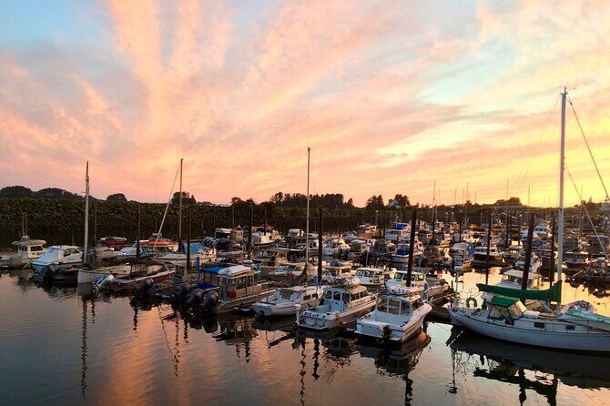 2 Hour Sitka Private Charter Sunset Cruise - Who Will Love This Tour?