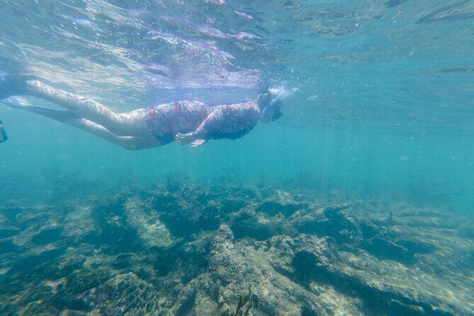 2-Hour Snorkeling in Two Spots of Tulum's Reef - Practical Tips