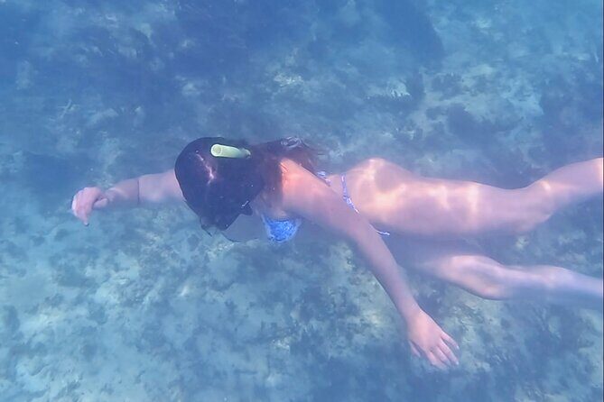 2-Hour Snorkeling in Two Spots of Tulum's Reef - FAQ