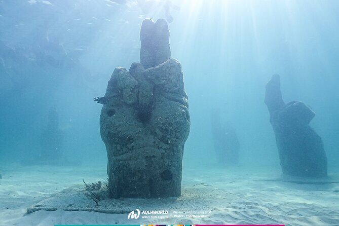 2-Hour Snorkeling Paradise Reef in Cancún Underwater Museum - The Snorkeling Experience: Details & Highlights