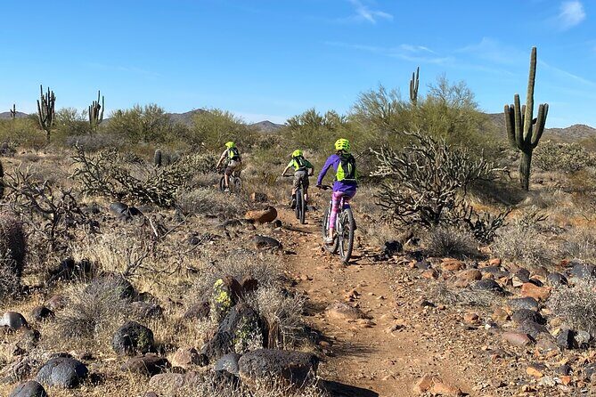 2 Hour Sonoran Desert Private Guided Mountain Bike Tour - What to Expect from a 2-Hour Sonoran Desert Bike Tour