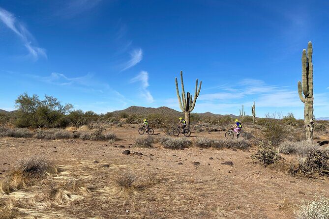 2 Hour Sonoran Desert Private Guided Mountain Bike Tour - Who Would Enjoy This Tour?