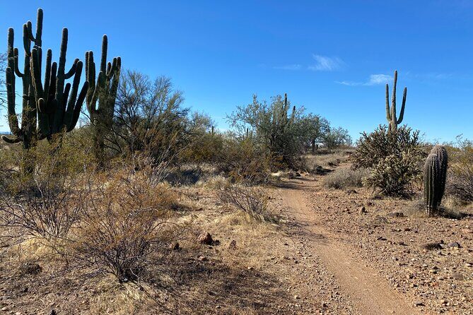 2 Hour Sonoran Desert Private Guided Mountain Bike Tour - Final Thoughts: Is It Worth It?