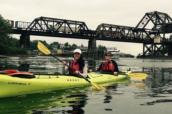 2 Hour Sound Tour - Exploring Puget Sound by Kayak: A Friendly Review of the 2-Hour Sound Tour