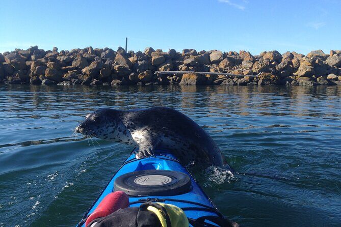 2 Hour Sound Tour - Authentic Traveler Feedback