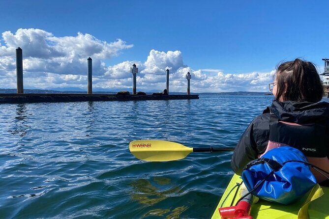 2 Hour Sound Tour - Who Is This Tour Best Suited For?