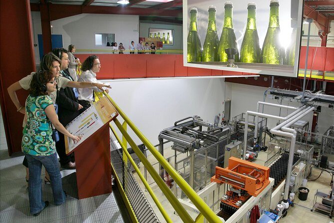 2 Hour Sparkling Wine Tasting and visit in Beaune - The Verdict: Who Should Consider This Tour?