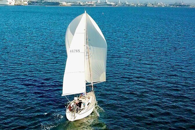 2-Hour Sunset Sailing on San Diego Bay - The Sunset and Marine Life: Why It’s Special