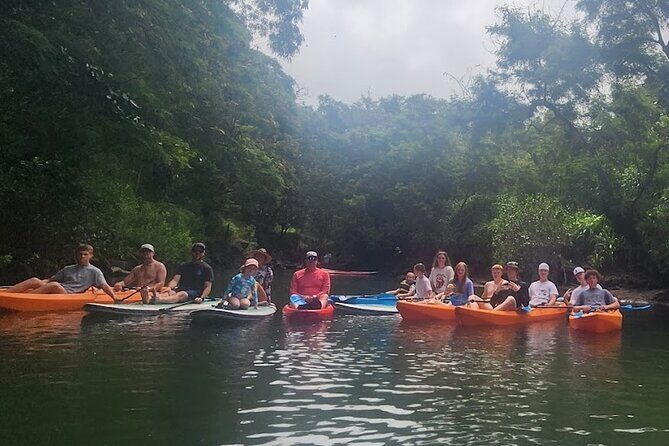 2 hour tandem kayak rental at our private launch area in Hale'iwa - What to Expect During Your Paddling Experience