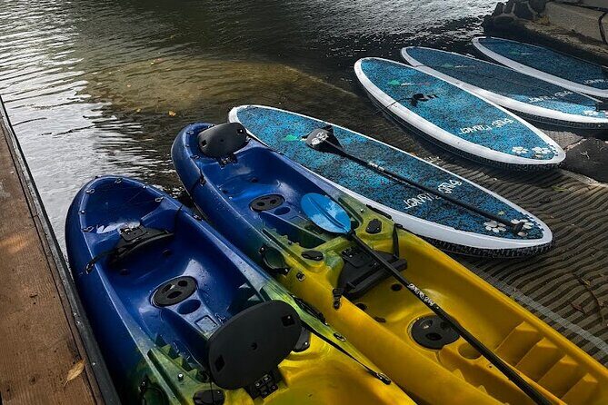 2 hour tandem kayak rental at our private launch area in Hale'iwa - The Authentic Feedback from Travelers