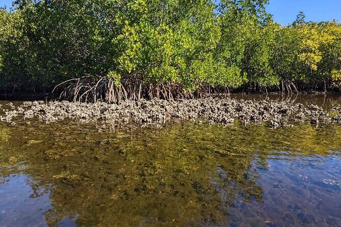 2 Hour Tandem Kayak Tour (Price for 2 People) - The Price and Value