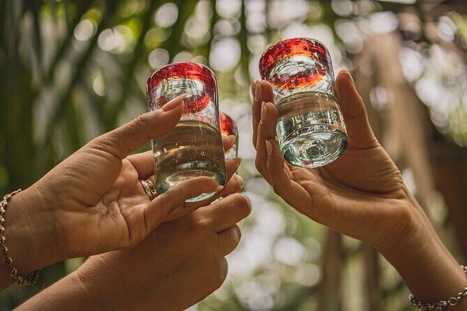 2 Hour Tequila Tasting Diego Riviera - Key Points