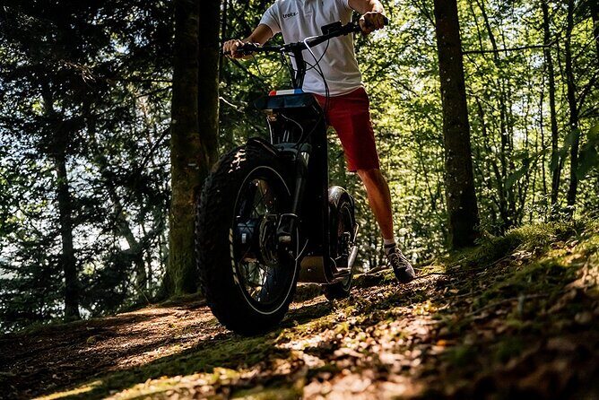 2-hour walk - Castles and vineyards - The Experience: What Its Like on the Ground