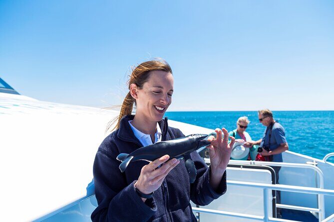 2 Hour Whale-Watching Cruise from Hillarys Boat Harbour - The Itinerary Breakdown