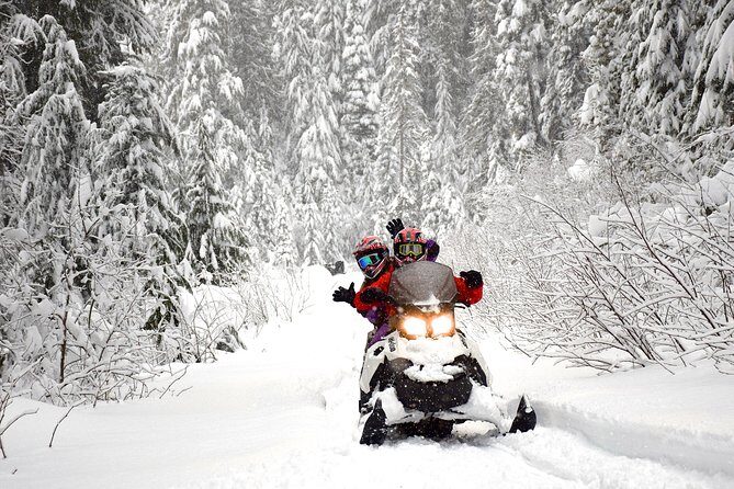 2 Hour Wilderness Adventure Snowmobile Tour in Whistler - Pricing and Value for Money