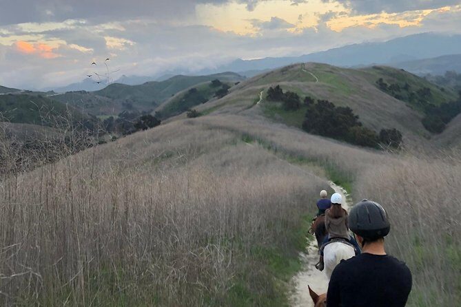 2 Hour Wildflower Horseback Trail Ride experience in Agoura Hills - A Closer Look at the 2-Hour Wildflower Horseback Trail Ride in Agoura Hills