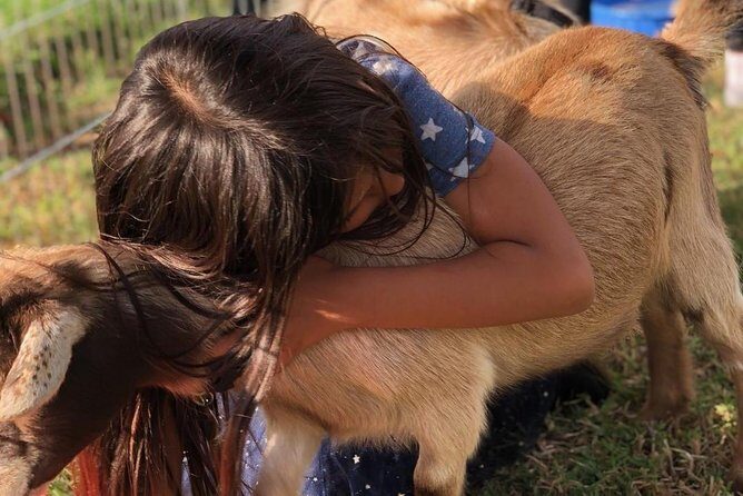 2 Hour Wildflower Horseback Trail Ride experience in Agoura Hills - What About the Scenery?