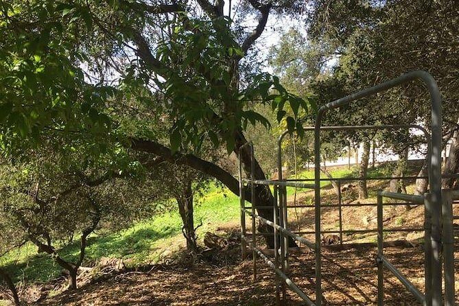 2 Hour Wildflower Horseback Trail Ride experience in Agoura Hills - What to Expect in Terms of Logistics