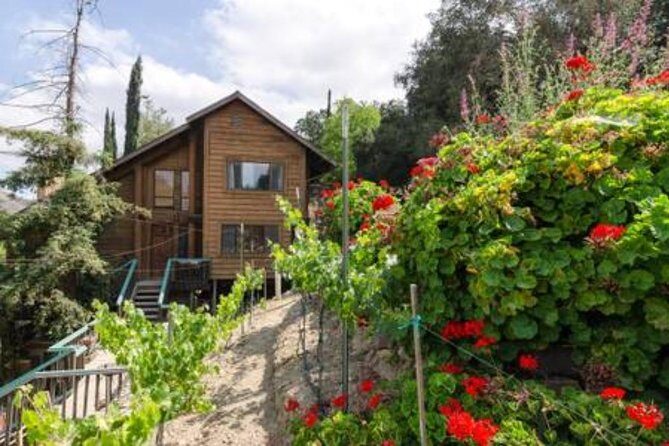 2 Hour Wildflower Horseback Trail Ride experience in Agoura Hills - Is It Worth the Price?