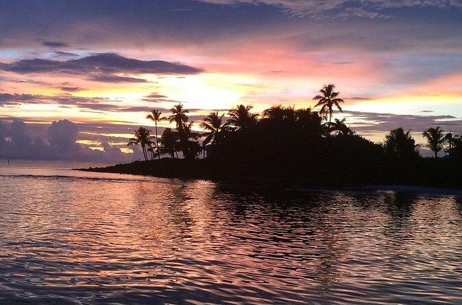 2 Hour Wildlife Adventure - Who Will Love This Tour?