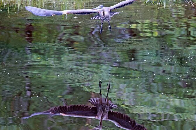 2-Hour Wildlife and Culture small van Excursion - FAQ