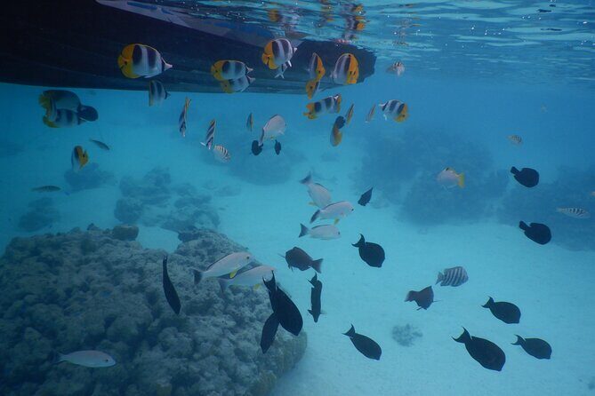 2 hours discovery tour of Moorea by Jet Ski - Detailed Itinerary Breakdown