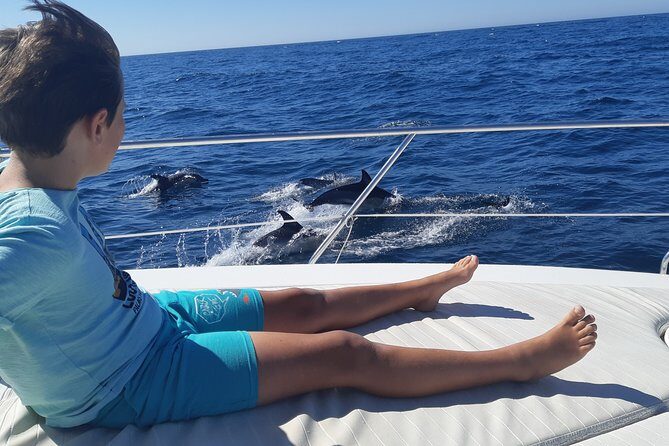 2 Hours Dolphin Watching in Marbella - Key Points