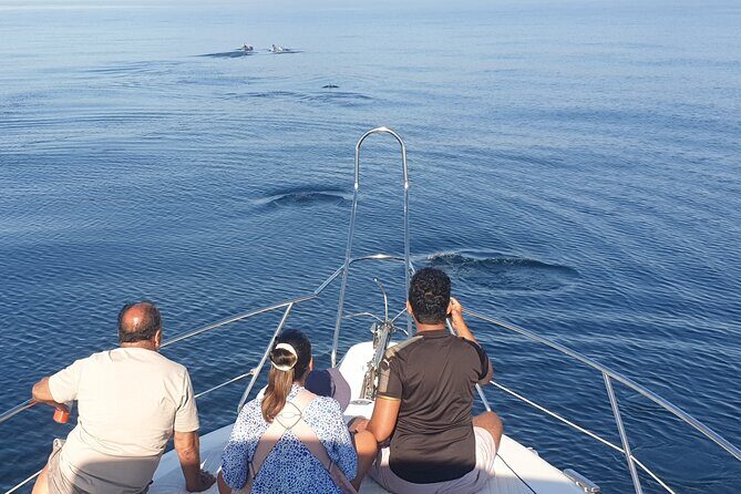 2 Hours Dolphin Watching in Marbella - Final Thoughts
