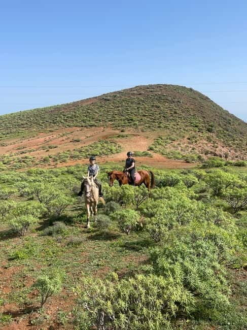 2 hours Green Mountains Horse Riding Tour - A Closer Look at the Horse Riding Experience