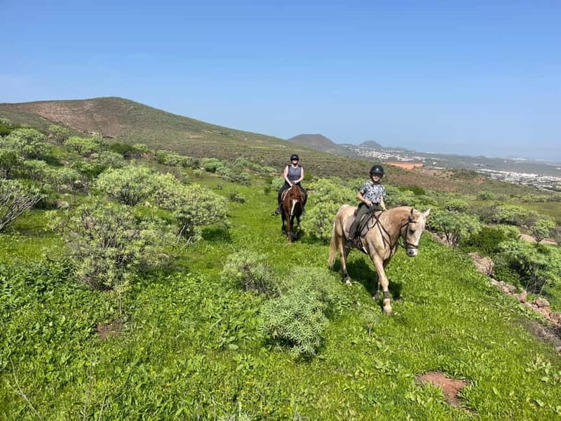 2 hours Green Mountains Horse Riding Tour - Whats Included and Whats Not