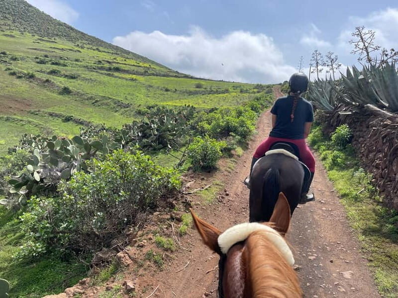 2 hours Green Mountains Horse Riding Tour - What Travelers Are Saying